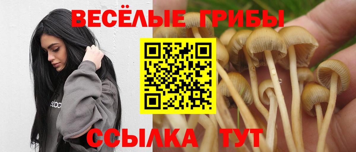 Минеральные Воды  Псилоцибиновые грибы Cubensis  Вход с VPN 